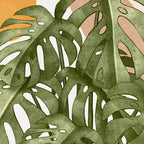 Sunny Day 02 Coffee Mug Gallery Image 2