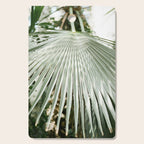 Botanical garden close up | Palm leaf detail | Fine art photography print Cutting Board Gallery Image 1