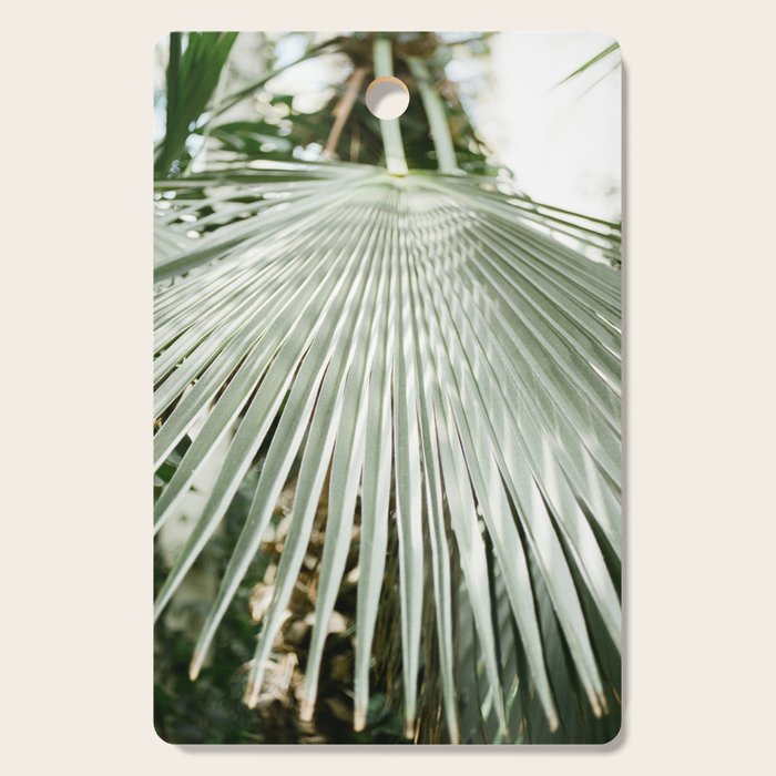 Botanical garden close up | Palm leaf detail | Fine art photography print Cutting Board Gallery Image 1