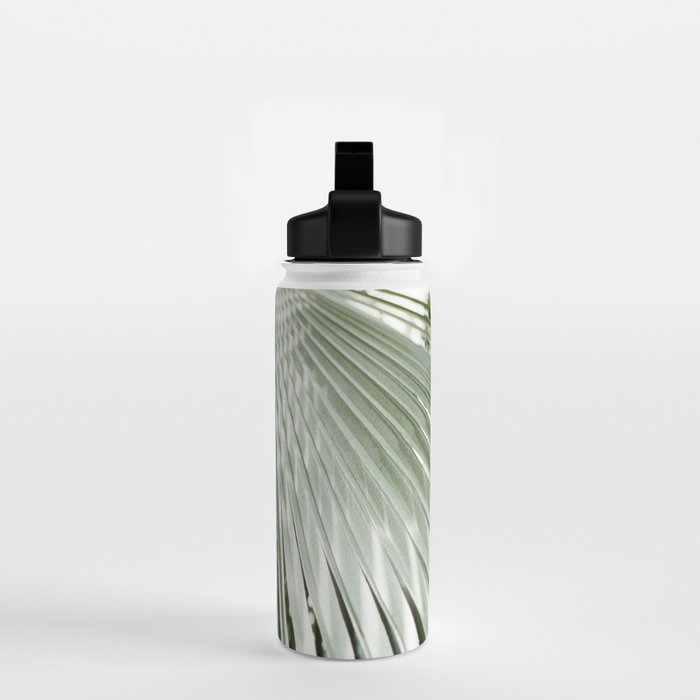 Botanical garden close up | Palm leaf detail | Fine art photography print Water Bottle Gallery Image 2