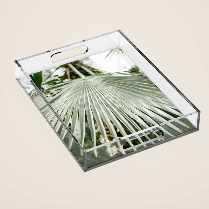 Botanical garden close up | Palm leaf detail | Fine art photography print Acrylic Tray Gallery Image 1