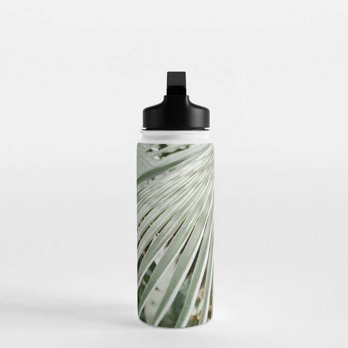 Botanical garden close up | Palm leaf detail | Fine art photography print Water Bottle Gallery Image 3