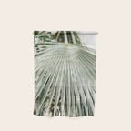 Botanical garden close up | Palm leaf detail | Fine art photography print Wall Hanging Gallery Image 1