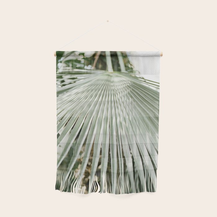Botanical garden close up | Palm leaf detail | Fine art photography print Wall Hanging Gallery Image 1