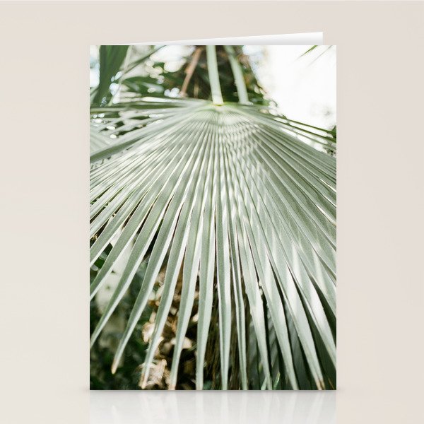 Botanical garden close up | Palm leaf detail | Fine art photography print Stationery Card Gallery Image 2
