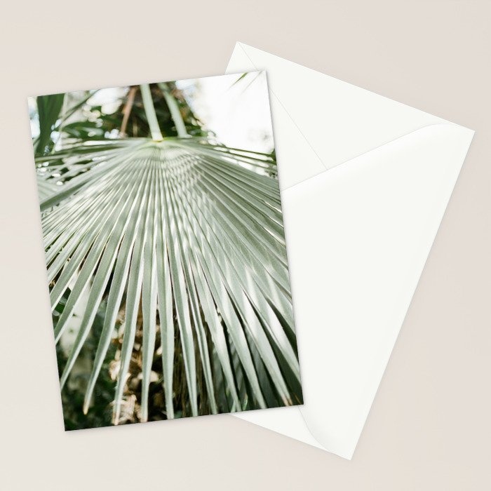 Botanical garden close up | Palm leaf detail | Fine art photography print Stationery Card Gallery Image 2