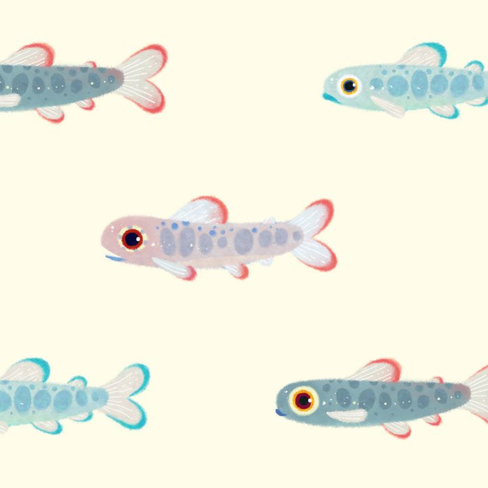 Trouts Coffee Mug Gallery Image 2