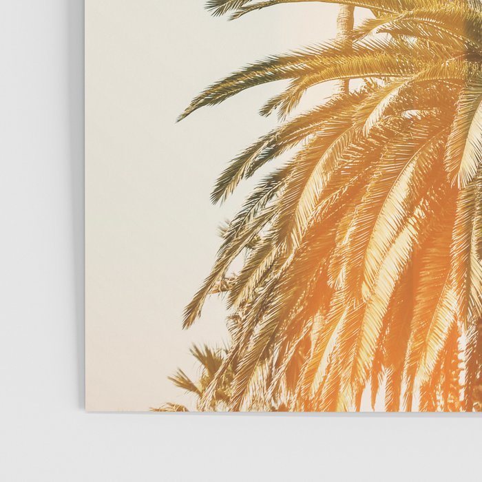 California Palms 2 - Modern Fine Art Print Poster Gallery Image 3