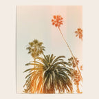California Palms 2 - Modern Fine Art Print Poster Gallery Image 4