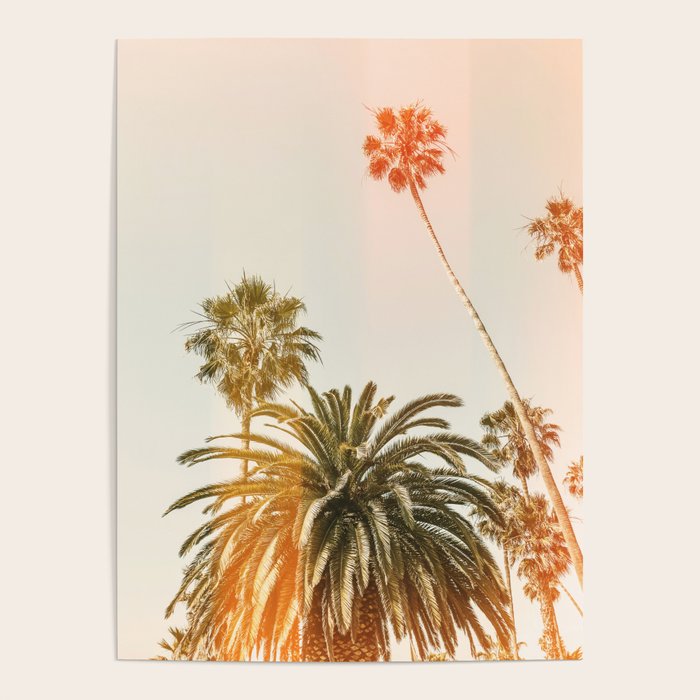 California Palms 2 - Modern Fine Art Print Poster Gallery Image 4