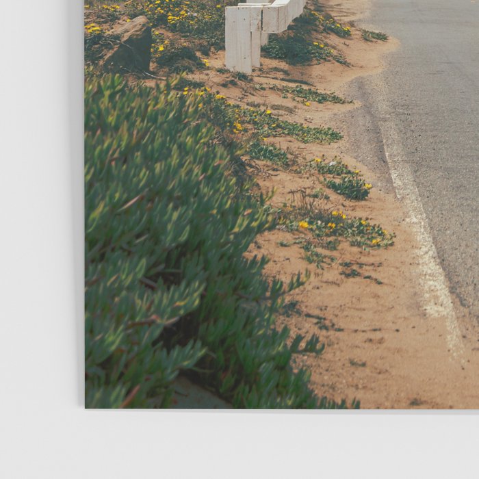 Point Reyes Road Poster Gallery Image 3
