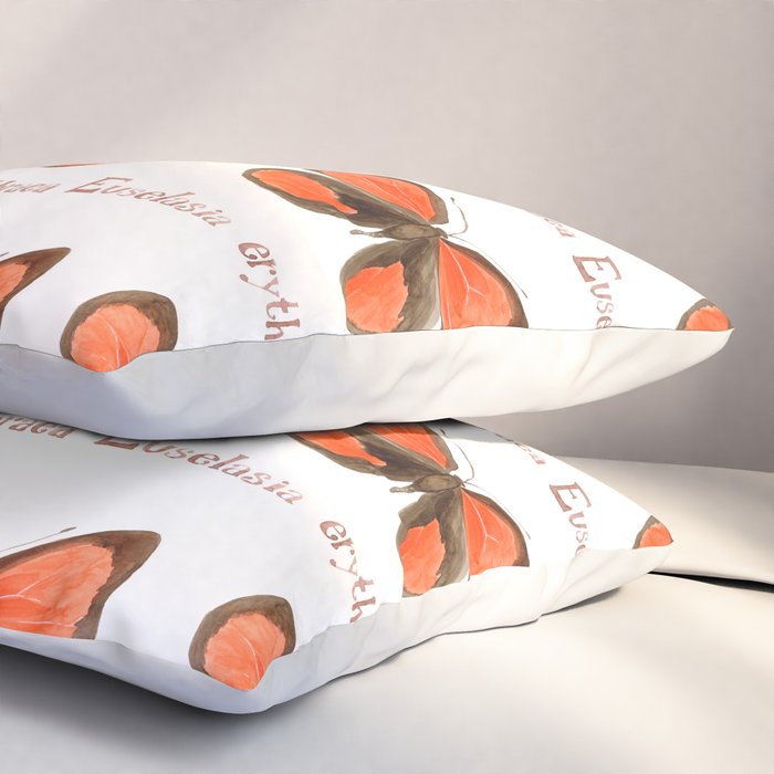 Butterfly - Euselasia erythraea Pillow Sham Gallery Image 3