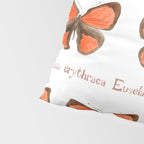 Butterfly - Euselasia erythraea Pillow Sham Gallery Image 4