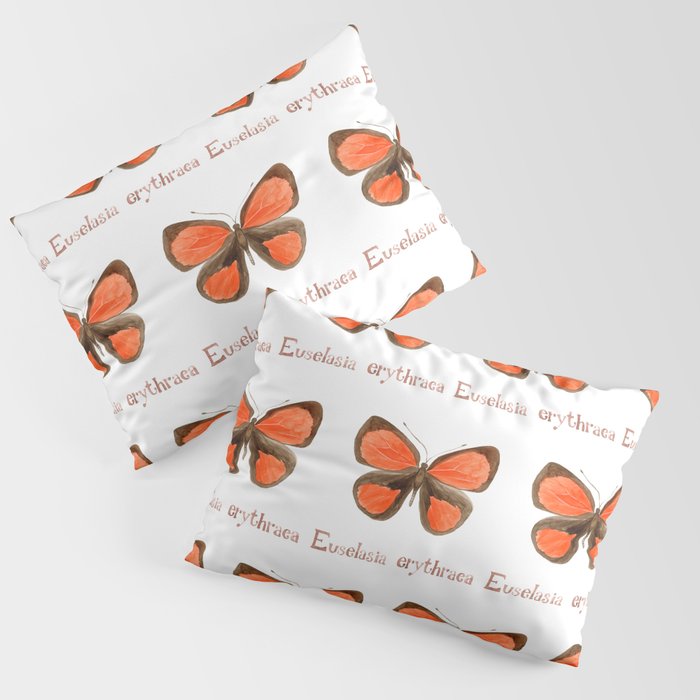 Butterfly - Euselasia erythraea Pillow Sham Gallery Image 1