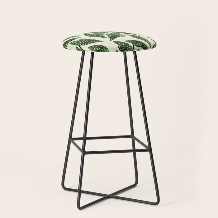 begonia maculata interior plant Stool Gallery Image 1