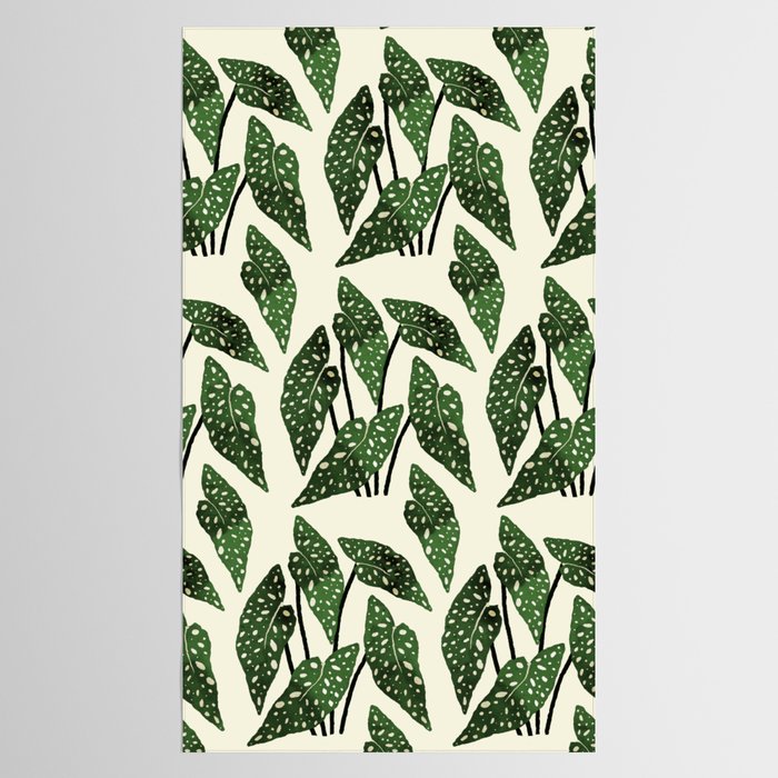 begonia maculata interior plant Tablecloth Gallery Image 2