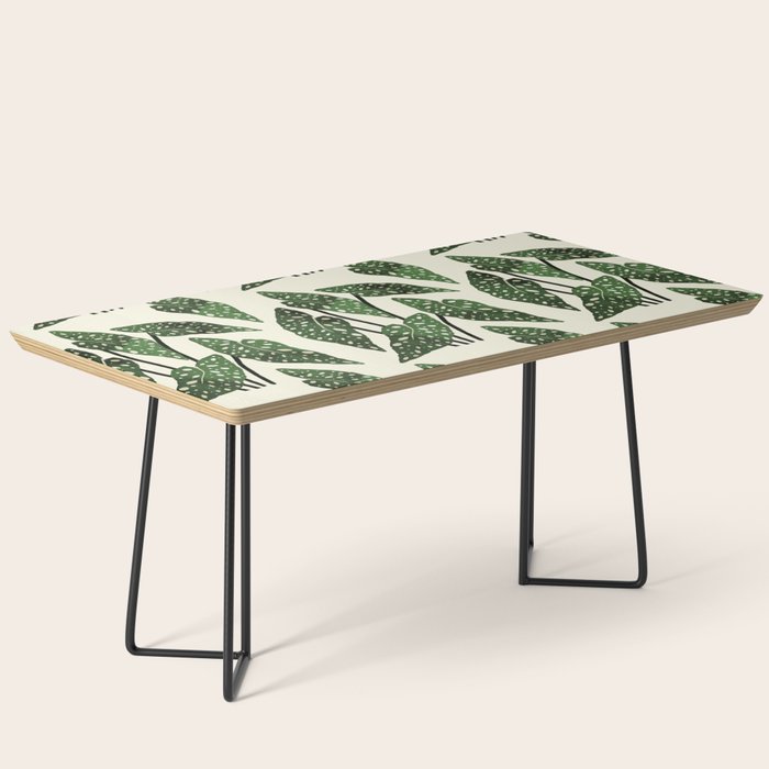 begonia maculata interior plant Coffee Table Gallery Image 1