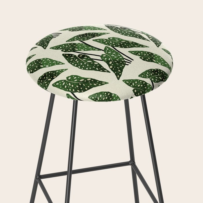 begonia maculata interior plant Stool Gallery Image 2
