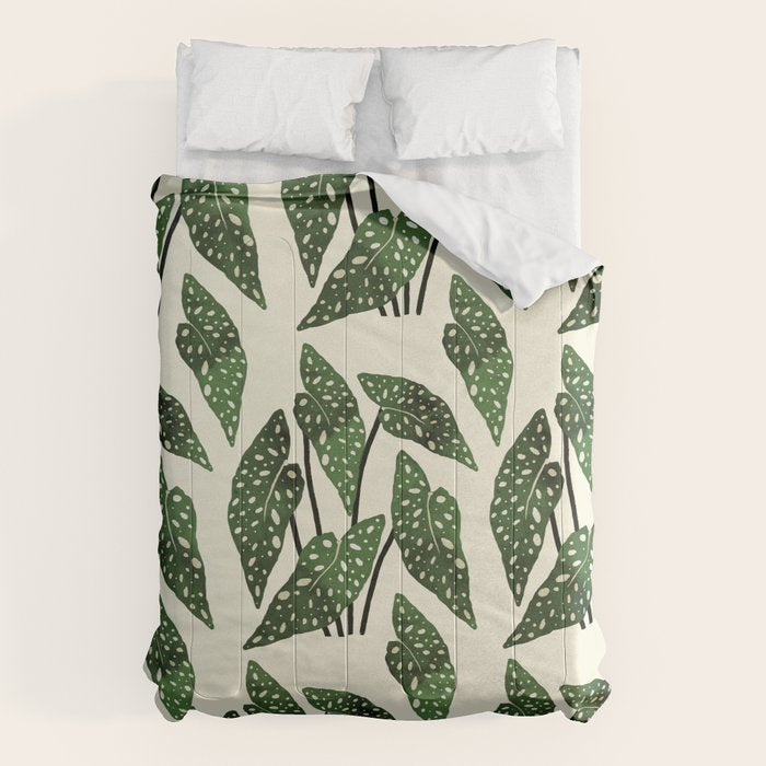 begonia maculata interior plant Comforter Gallery Image 6