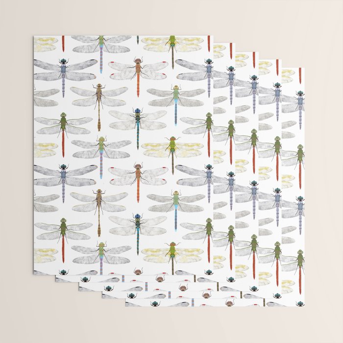Dragonflies Wrapping Paper Gallery Image 3