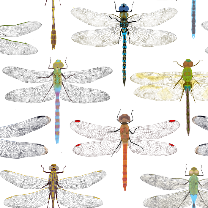 Dragonflies Coffee Mug Gallery Image 2