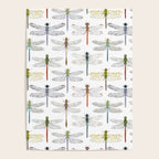 Dragonflies Poster Gallery Image 4