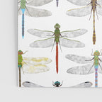 Dragonflies Poster Gallery Image 3