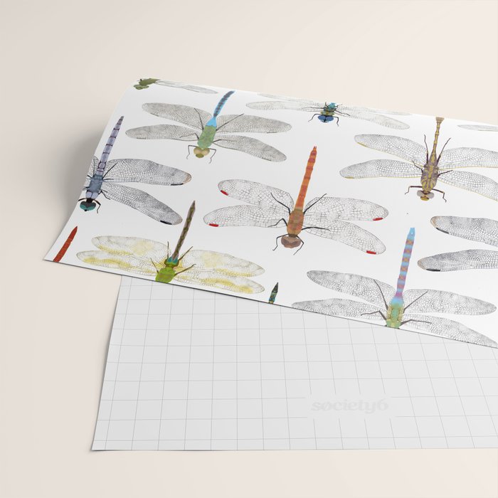 Dragonflies Wrapping Paper Gallery Image 2