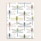 Dragonflies Notebook Gallery Image 4