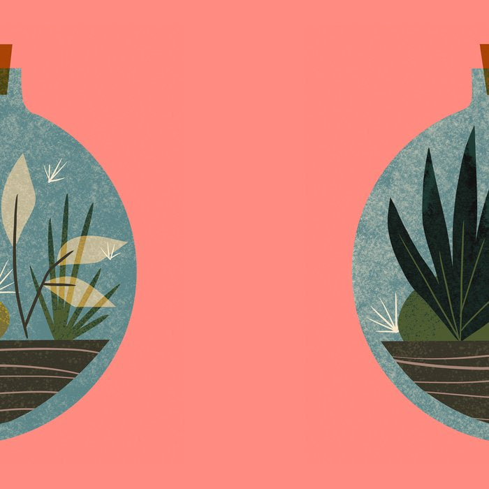 Terrarium No. 1 Coffee Mug Gallery Image 2