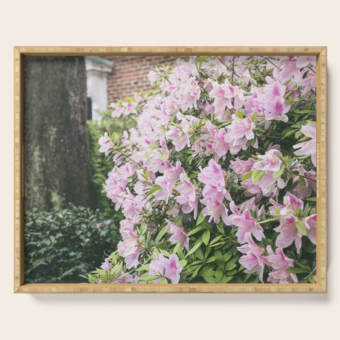 New Orleans Photography x Spring in the Garden District of New Orleans Serving Tray Gallery Image 1