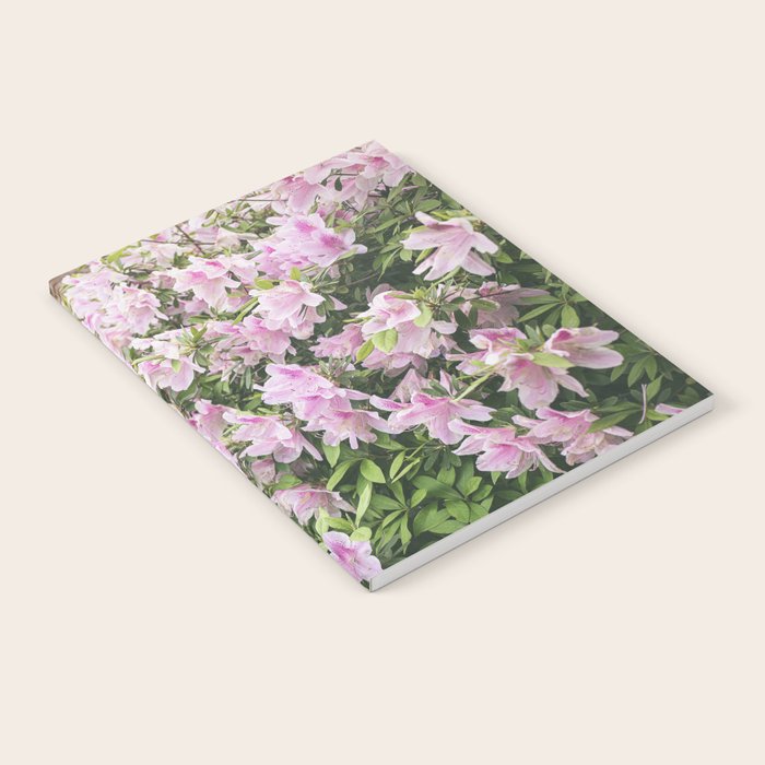 New Orleans Photography x Spring in the Garden District of New Orleans Notebook Gallery Image 2