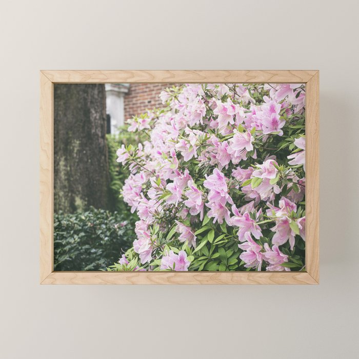 New Orleans Photography x Spring in the Garden District of New Orleans Mini Art Print Gallery Image 1