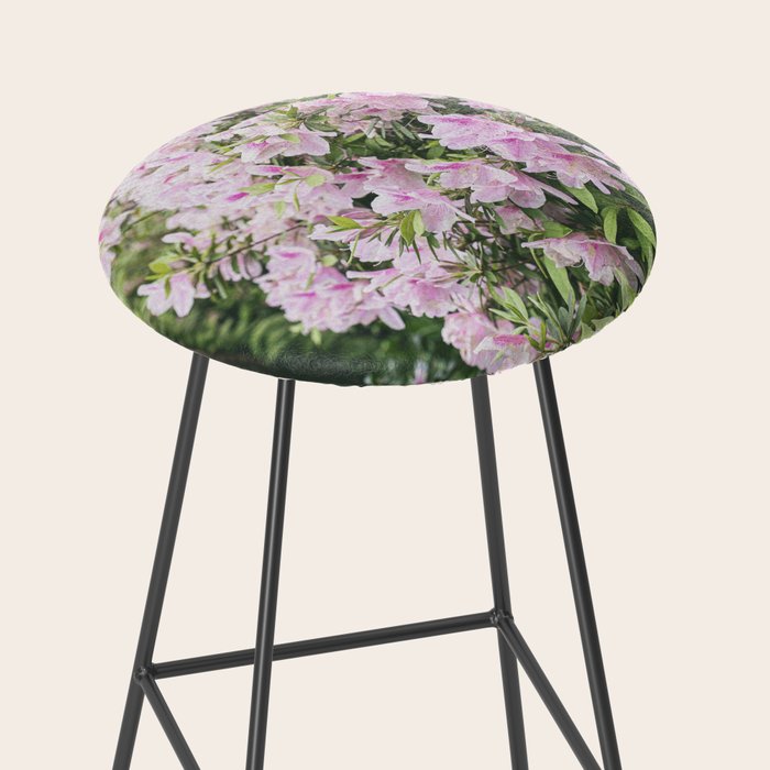 New Orleans Photography x Spring in the Garden District of New Orleans Stool Gallery Image 2