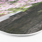 New Orleans Photography x Spring in the Garden District of New Orleans Bath Mat Gallery Image 3