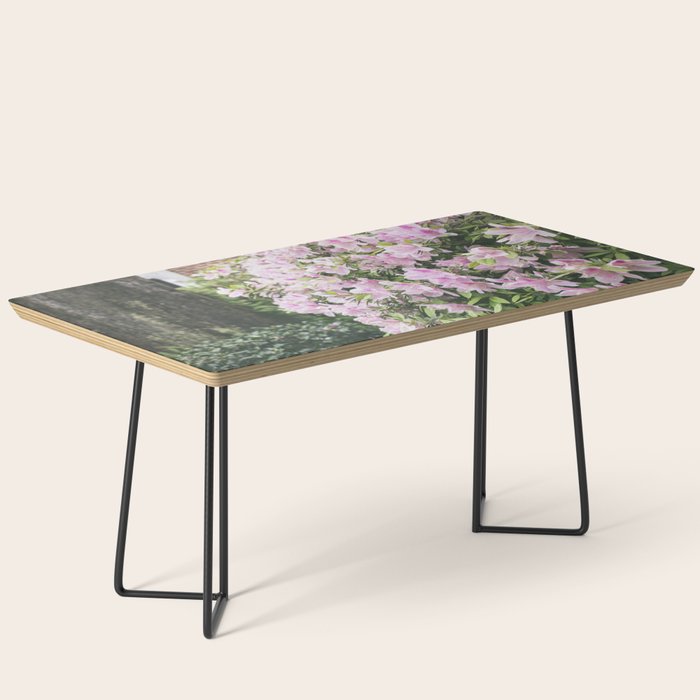 New Orleans Photography x Spring in the Garden District of New Orleans Coffee Table Gallery Image 1
