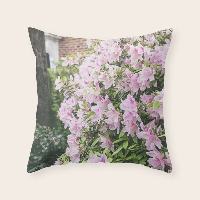 New Orleans Photography x Spring in the Garden District of New Orleans Throw Pillow Gallery Image 1