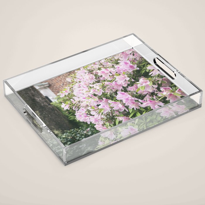 New Orleans Photography x Spring in the Garden District of New Orleans Acrylic Tray Gallery Image 1
