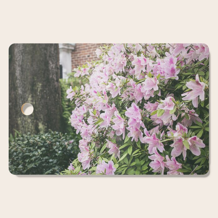 New Orleans Photography x Spring in the Garden District of New Orleans Cutting Board Gallery Image 1