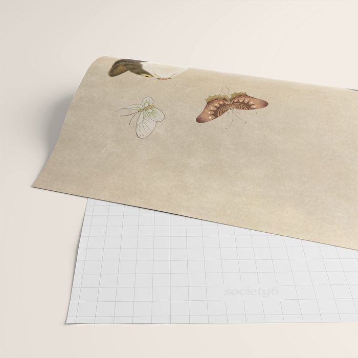 Minhwa: cats & butterflies (Korean traditional/folk art) Wrapping Paper Gallery Image 2