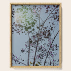 Pendulous - blossoms airy flower print botanical photograph Serving Tray Gallery Image 1