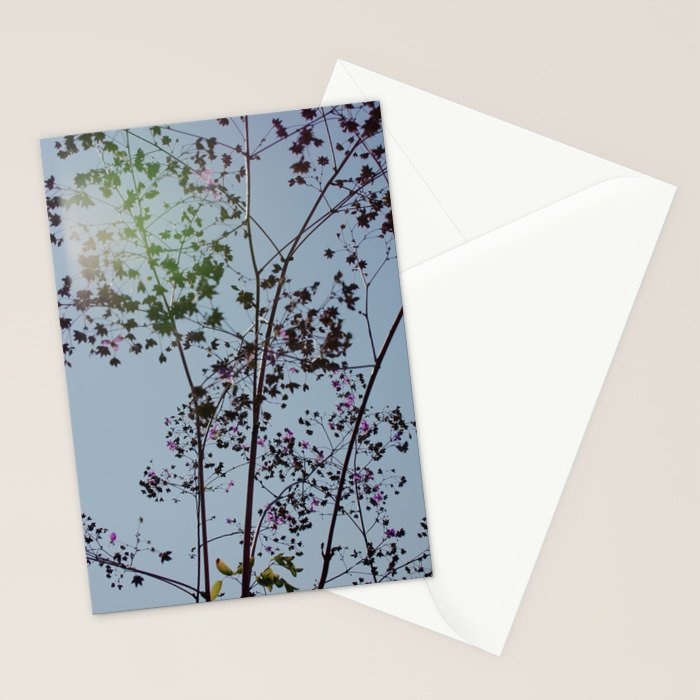 Pendulous - blossoms airy flower print botanical photograph Stationery Card Gallery Image 2