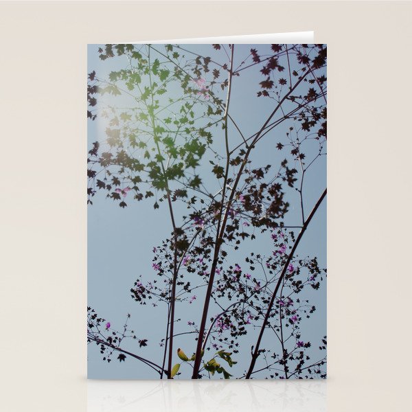 Pendulous - blossoms airy flower print botanical photograph Stationery Card Gallery Image 1