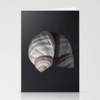 Seashell snail reflection Stationery Card Gallery Image 2
