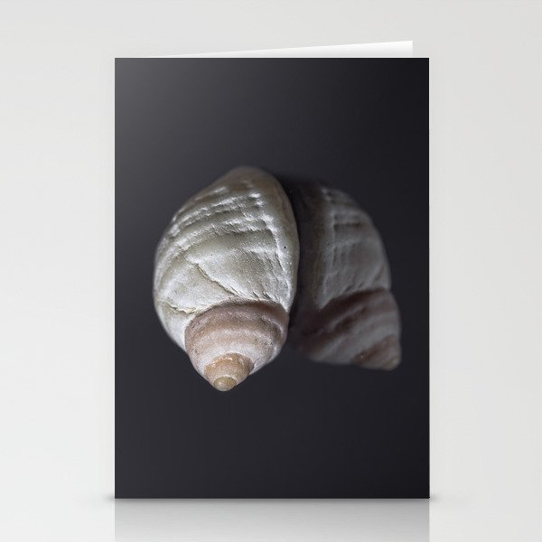 Seashell snail reflection Stationery Card Gallery Image 2