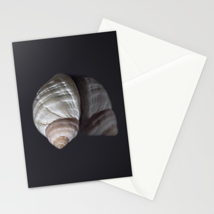 Seashell snail reflection Stationery Card Gallery Image 2