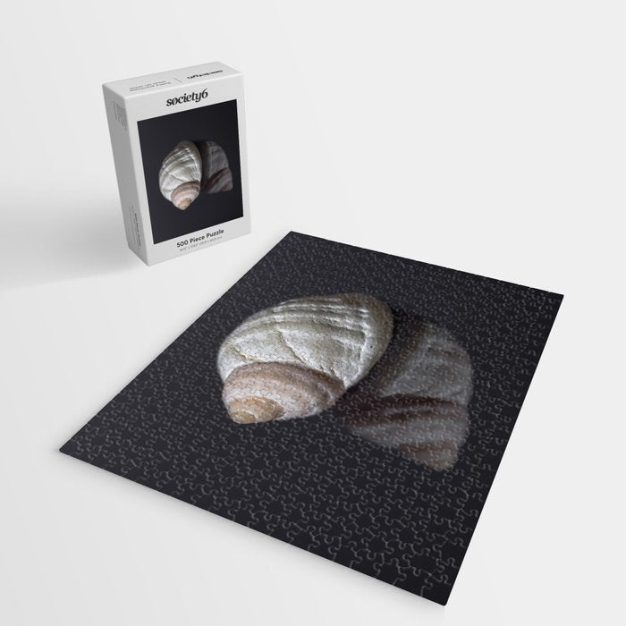Seashell snail reflection Jigsaw Puzzle Gallery Image 2
