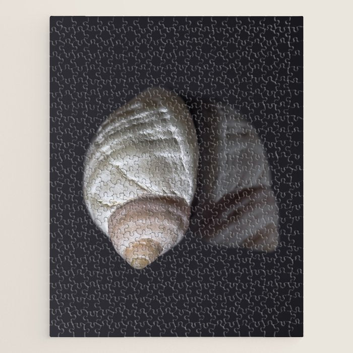 Seashell snail reflection Jigsaw Puzzle Gallery Image 1