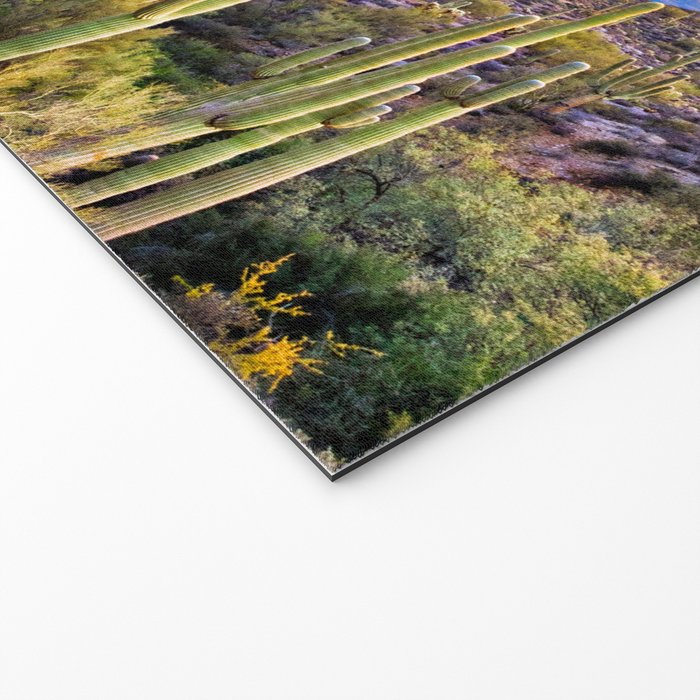 Arizona South West Sunset Cactus Desert Landscape Welcome Mat Gallery Image 2