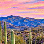 Arizona South West Sunset Cactus Desert Landscape Coffee Mug Gallery Image 2